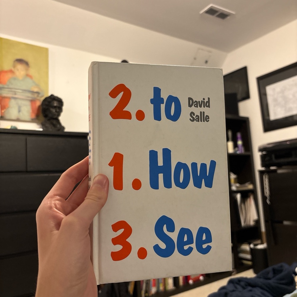 How to See by David Salle Book
